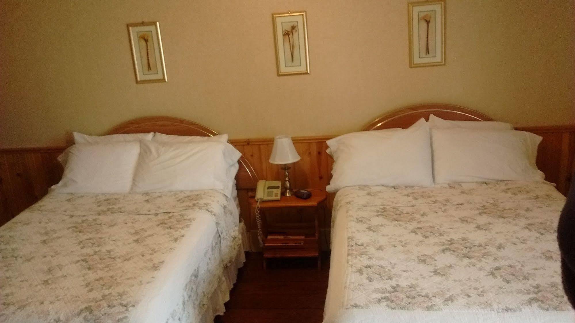Mackenzie Motel & Cottages Shelburne Bagian luar foto